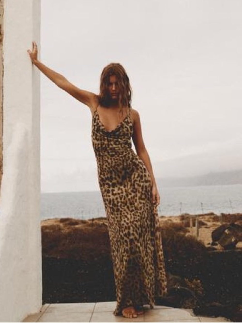Zara Tulle Leopard Print Cowl Neck Dress
